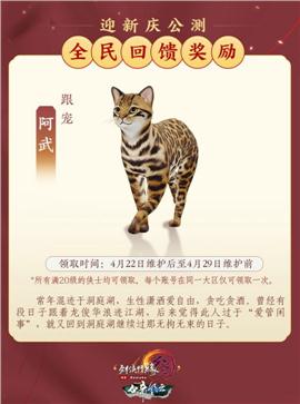 天龙八部私服 木剑终极